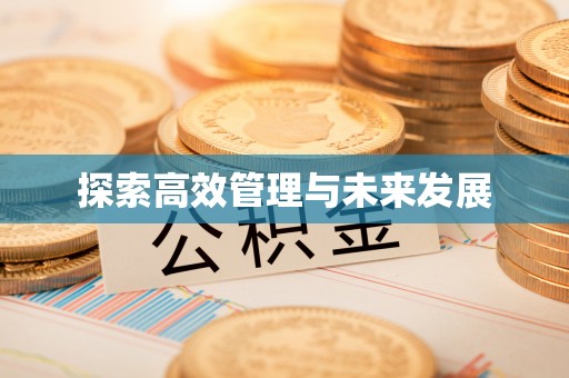 高碑店探索高效管理与未来发展