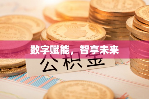 高碑店数字赋能，智享未来