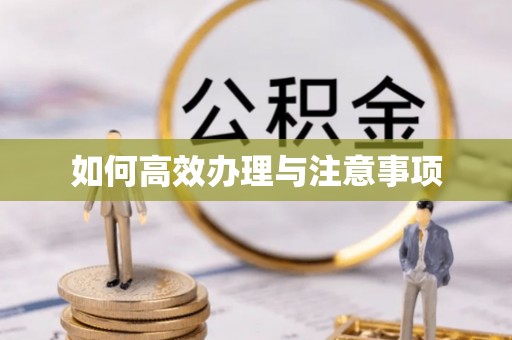 高碑店如何高效办理与注意事项