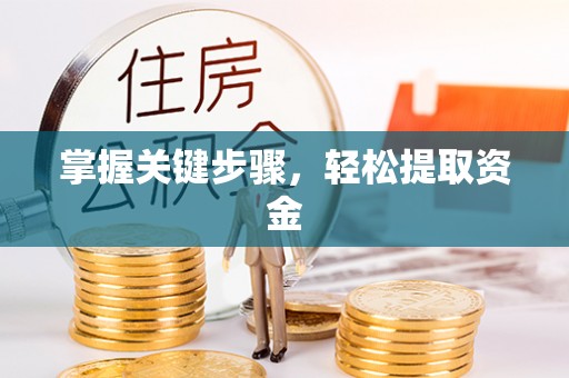 高碑店掌握关键步骤，轻松提取资金