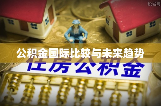 高碑店公积金国际比较与未来趋势