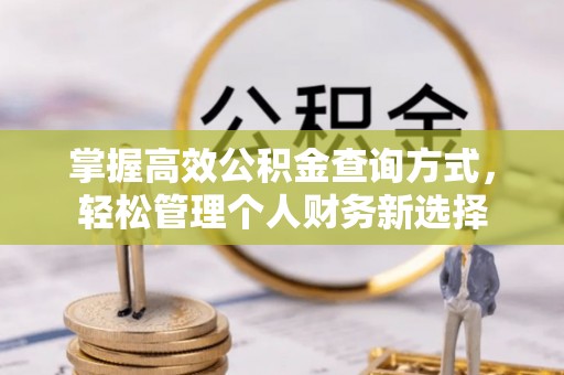 高碑店掌握高效公积金查询方式，轻松管理个人财务新选择
