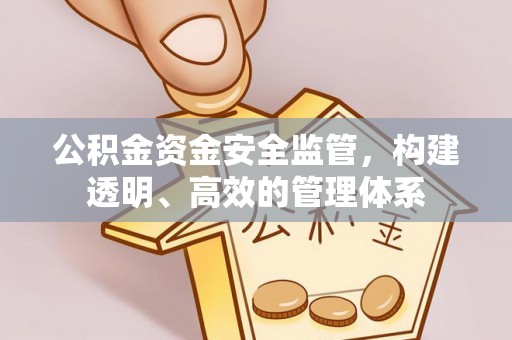 高碑店公积金资金安全监管，构建透明、高效的管理体系