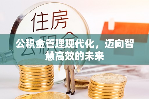 高碑店公积金管理现代化，迈向智慧高效的未来