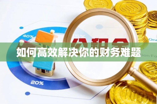 高碑店如何高效解决你的财务难题