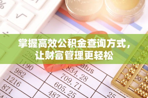 高碑店掌握高效公积金查询方式，让财富管理更轻松