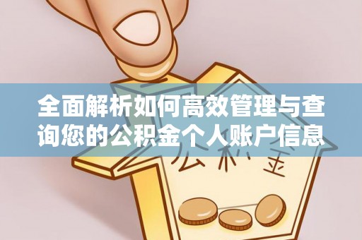 高碑店全面解析如何高效管理与查询您的公积金个人账户信息