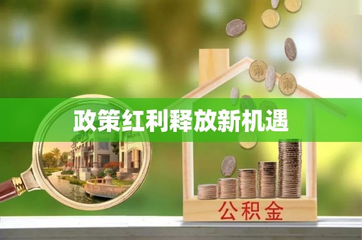 高碑店政策红利释放新机遇