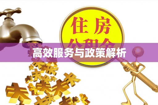 高碑店高效服务与政策解析