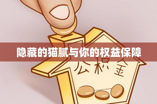 高碑店隐藏的猫腻与你的权益保障
