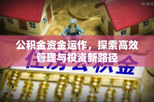 高碑店公积金资金运作，探索高效管理与投资新路径