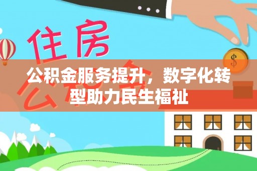 高碑店公积金服务提升，数字化转型助力民生福祉