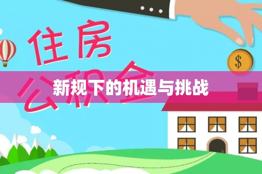 高碑店新规下的机遇与挑战