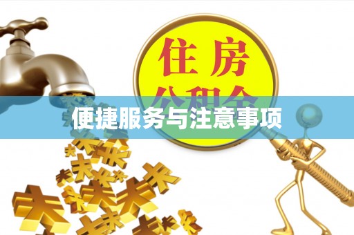 高碑店便捷服务与注意事项