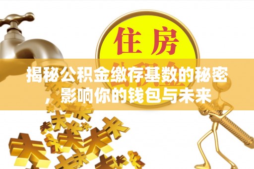 高碑店揭秘公积金缴存基数的秘密，影响你的钱包与未来