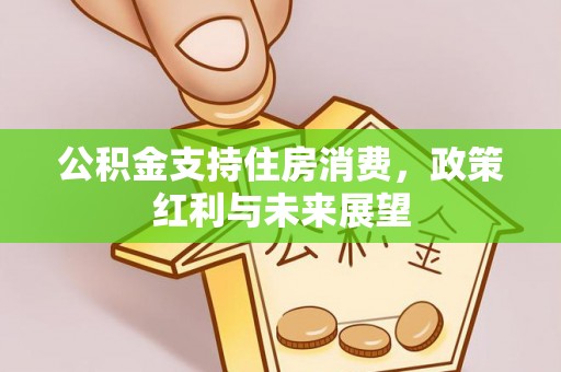 高碑店公积金支持住房消费，政策红利与未来展望
