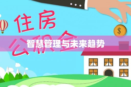高碑店智慧管理与未来趋势