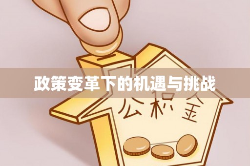 高碑店政策变革下的机遇与挑战