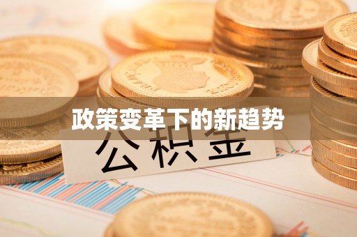高碑店政策变革下的新趋势