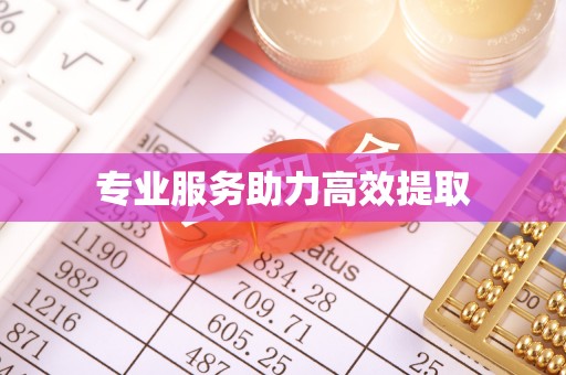 高碑店专业服务助力高效提取