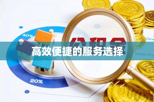 高碑店高效便捷的服务选择
